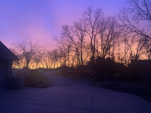 未来暮光紫 Future Dusk